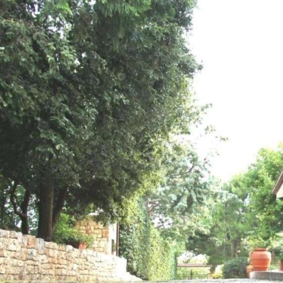 Casa Marisa Villa Vacanza Castellana Grotte Buitenkant foto