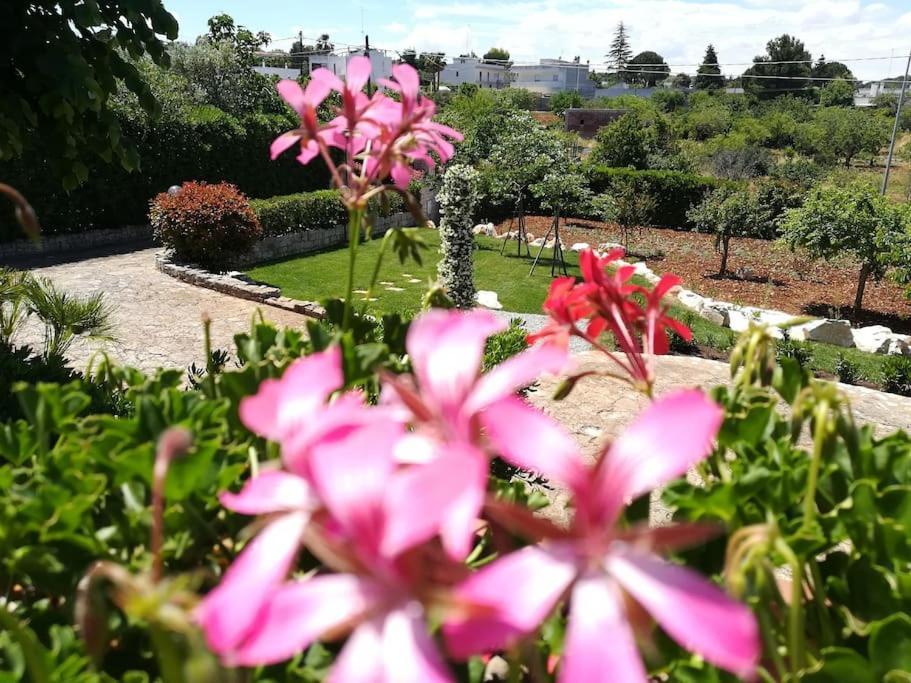Casa Marisa Villa Vacanza Castellana Grotte Buitenkant foto