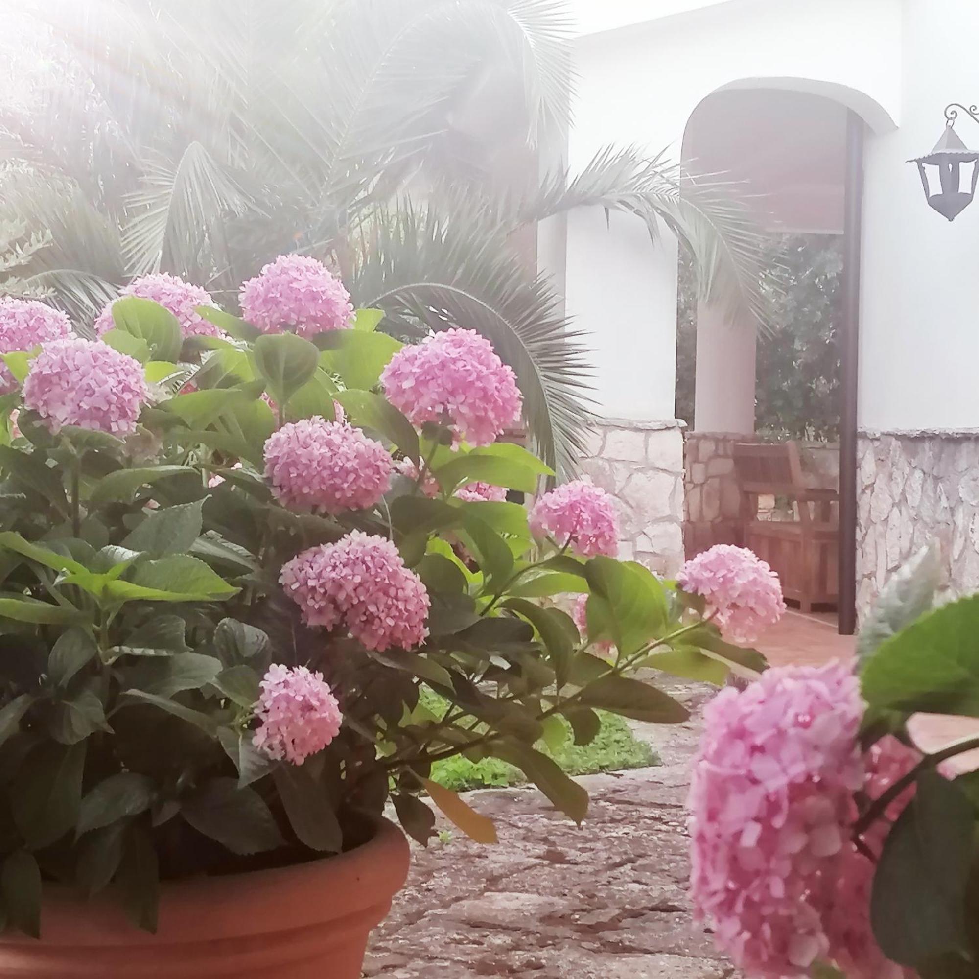 Casa Marisa Villa Vacanza Castellana Grotte Buitenkant foto