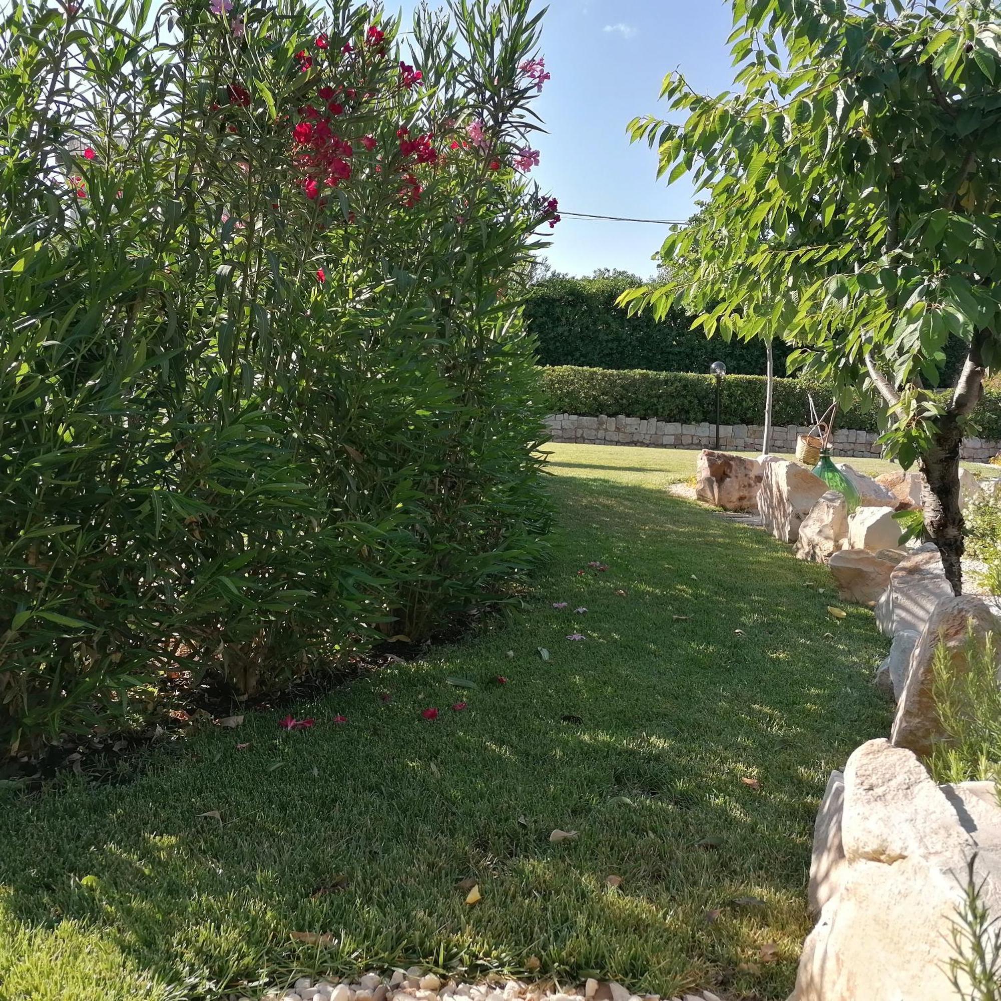 Casa Marisa Villa Vacanza Castellana Grotte Buitenkant foto