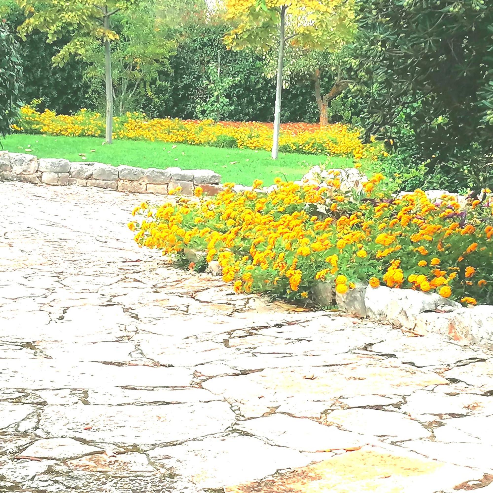 Casa Marisa Villa Vacanza Castellana Grotte Buitenkant foto