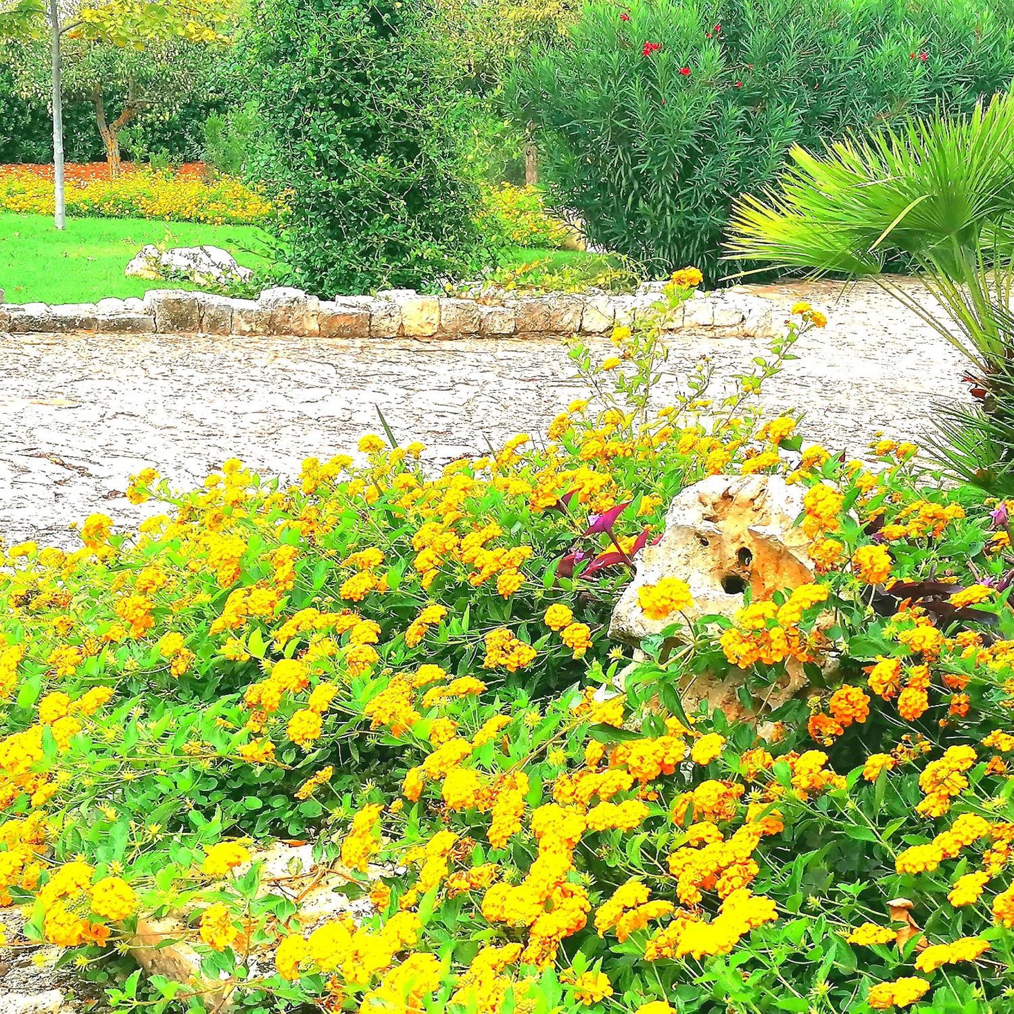 Casa Marisa Villa Vacanza Castellana Grotte Buitenkant foto